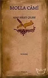Molla Cami