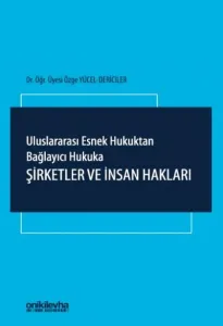 Uluslararası Esnek Hukuktan Bağlayıcı Hukuka: Şirketler ve İnsan Hakları