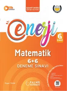 Palme Yayınları 6. Sınıf Matematik 6+6 Deneme Sınavı