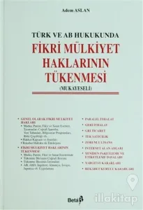 Türk ve AB Hukukunda Fikri Mülkiyet Haklarının Tükenmesi (Ciltli)