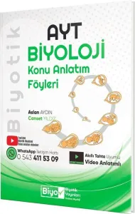 BİLGİ KÜPÜ AKIL OYUNLARI (1 VE 2.SINIFLAR İÇİN) -BİLGİ KÜPÜ