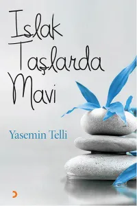 Islak Taşlarda Mavi