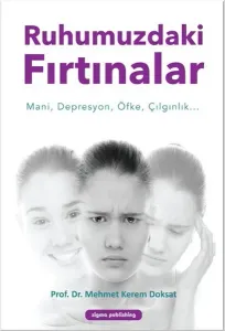 Ruhumuzdaki Fırtınalar; Mani, Deresyyon, Öfke, Çılgınlık...