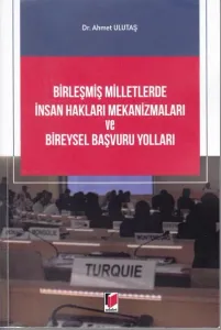Birleşmiş Milletlerde İnsan Hakları Mekanizmaları ve Bireysel Başvuru Yolları