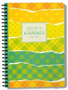 Akademik Yıl Ajansı 2016 - 2017