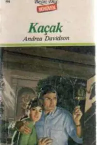 Kaçak - 501 (Serüven)