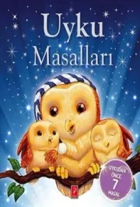 Uyku Masalları