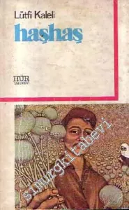 Haşhaş -