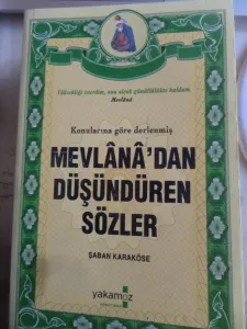 Mevlana'dan Düşündüren Sözler
