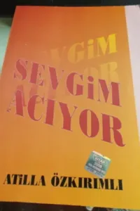 Sevgim Acıyor