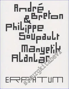 Manyetik Alanlar -