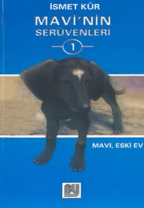 Eski Ev