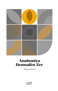 Anatomiya Dêmsalen Zer