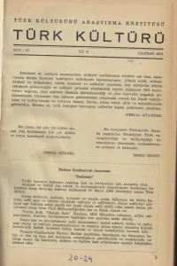 Türk Kültürü