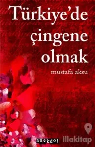 Türkiye'de Çingene Olmak