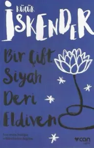 Bir Çift Siyah Deri Eldiven