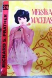 Meksika Macerası