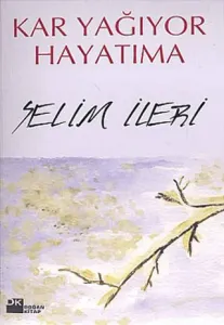 Kar Yağıyor Hayatıma
