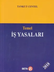 Temel İş Yasaları