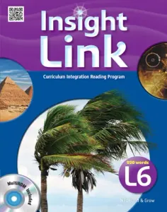 Insight Link 6