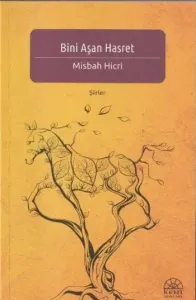Bini Aşan Hasret