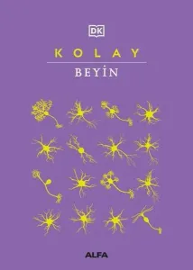 Kolay Beyin