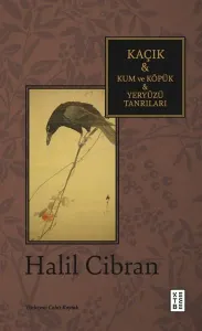 Kaçık & Kum ve Köpük & Yeryüzü Tanrıları