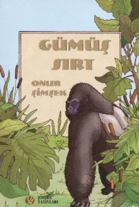 Gümüş Sırt