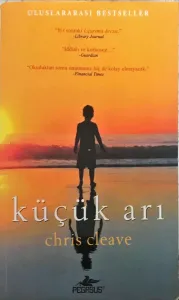 Küçük Arı