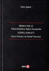 Medeni Hak ve Yükümlülüklere İlişkin Davalarada Süreç Adaleti
