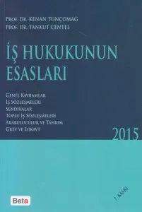 İş Hukukunun Esasları