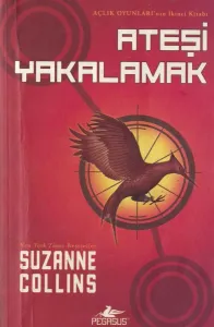 Ateşi Yakalamak