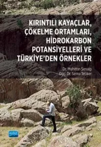 Kırıntılı Kayaçlar Çökelme Ortamları Hidrokarbon Potansiyelleri ve Türkiye'den Örnekler