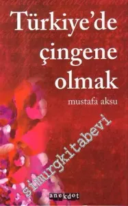 Türkiye'de Çingene Olmak -