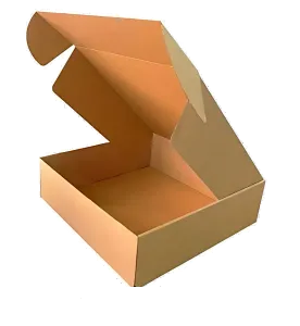 Kilitli Karton Kutu 30x20x10 cm.