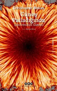 Güneş Patladığında - Şizofreninin Gizemi
