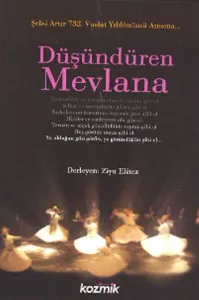 Düşündüren Mevlana