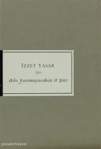 Asla Yazamayacaksın O Şiiri