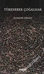 Tükenerek Çoğalmak -        2004