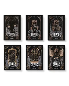 Bronz Serisi 6 Kitaplık Set (Ciltli)