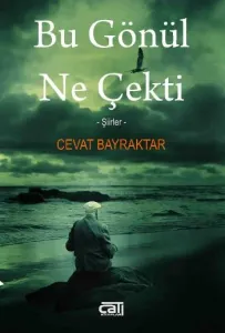 Bu Gönül Ne Çekti Bu Gönül Ne Çekti