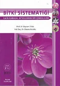 Bitki Sistematiği; İlkin Karasal Bitkilerden Bir Çeneklilere