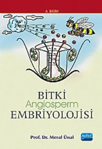 Bitki Embriyolojisi Angiosperm