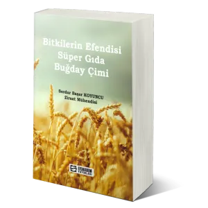Bitkilerin Efendisi Süper Gıda Buğday Çimi