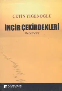 İncir Çekirdekleri; Denemeler