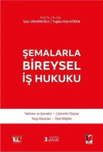 Şemalarla Bireysel İş Hukuku