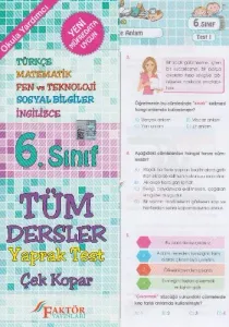 Faktör 6. Sınıf Tüm Dersler Yaprak Testler
