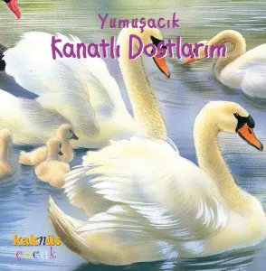 Yumuşacık Kanatlı Dostlarım  (0-5 Yaş)