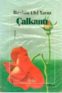 Çalkantı