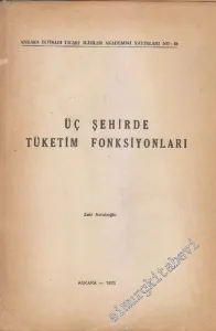 Üç Şehirde Tüketim Fonksiyonları -        1976